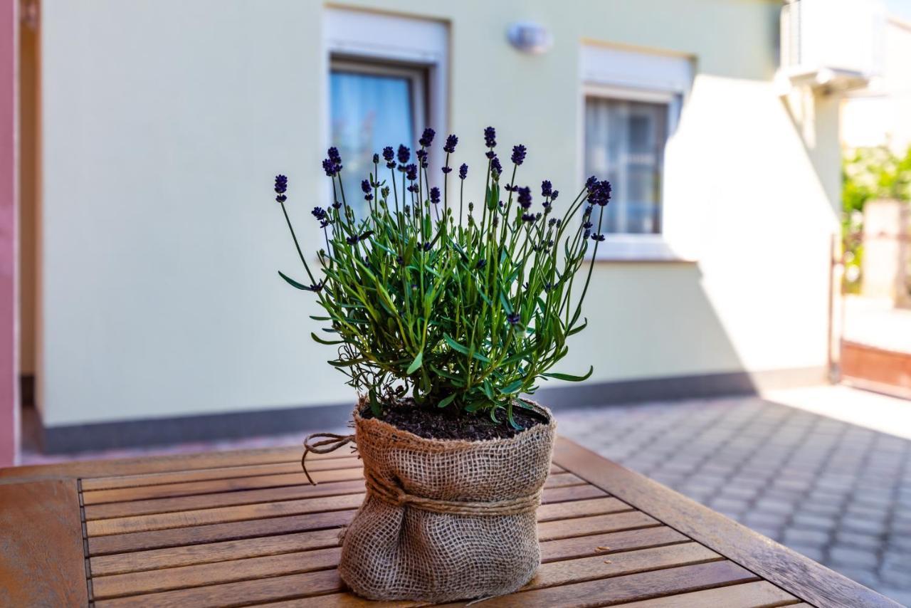 Studio Apartment Gina Ζαντάρ Εξωτερικό φωτογραφία